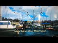 Seagull Chase Finding Nemo