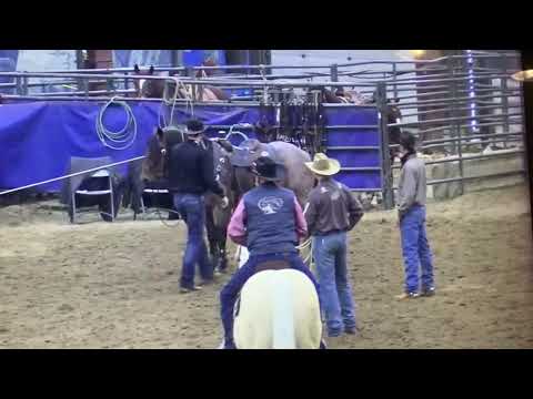 One Time Sannman Tie Down 1st Place