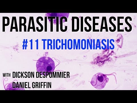 Trichomonas hogyan kezelik őket parazita intoxikációs tünetek