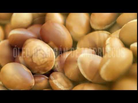 Con brillo y suavidad, Sedal Bomba Argán deja #TuPeloListoParaTodo