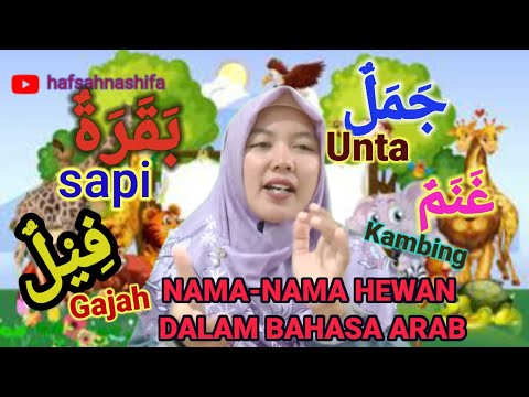 Nama Binatang dalam bahasa arab #pembelajaranpaud #hafsahnashifa
