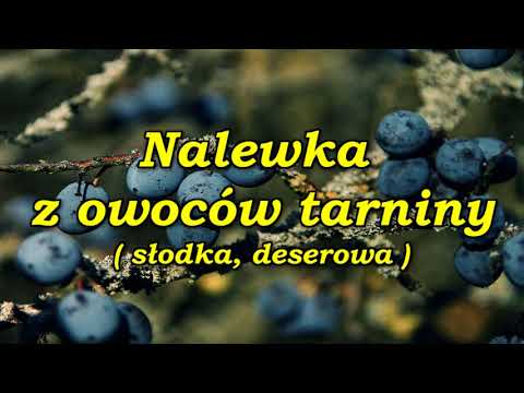 Nalewka z owoców tarniny ( słodka, deserowa ).