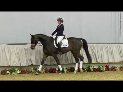 26  Eyecatcher Wallach v. Everdale - Cartier