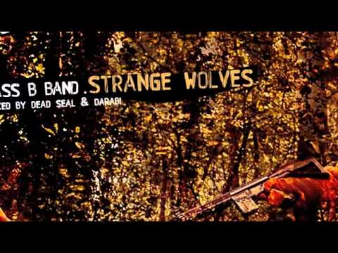 Class B Band - Strange Wolves (Dead Seal Remix) - My Favorite Robot Records (MFR038)