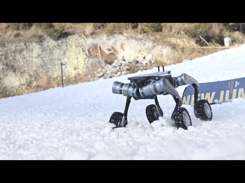 중국의 딥로보틱스 4족보행로봇 링스 근황