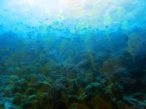 Under the Sea..John Balikos' music.