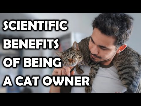 10 Scientific Benefits Of Being A Cat Owner/ All Cats
