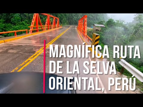 Carretera Marginal de la Selva Tingo María - Aguaytia
