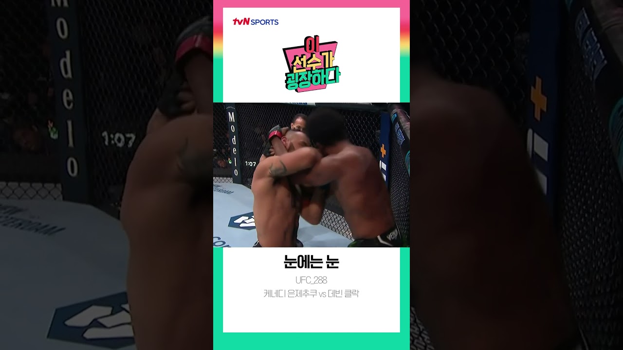 [이 선수가 굉장하다] 눈에는 눈👀 - UFC 288 #Shrots