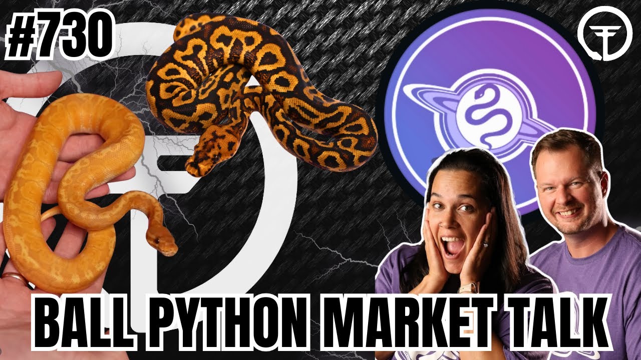 The Truth About The Ball Python Market In 2026 | Trap Talk With MJ Ep.730