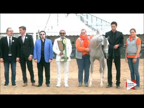 Menton 2016 - Special Awards - Prizegiving - Trophy Espoir: n. 114