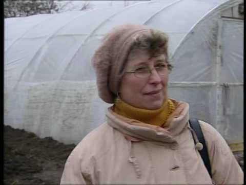 Jak brat z bratem - sprawa dla....geneza program Pani Orłowskiej