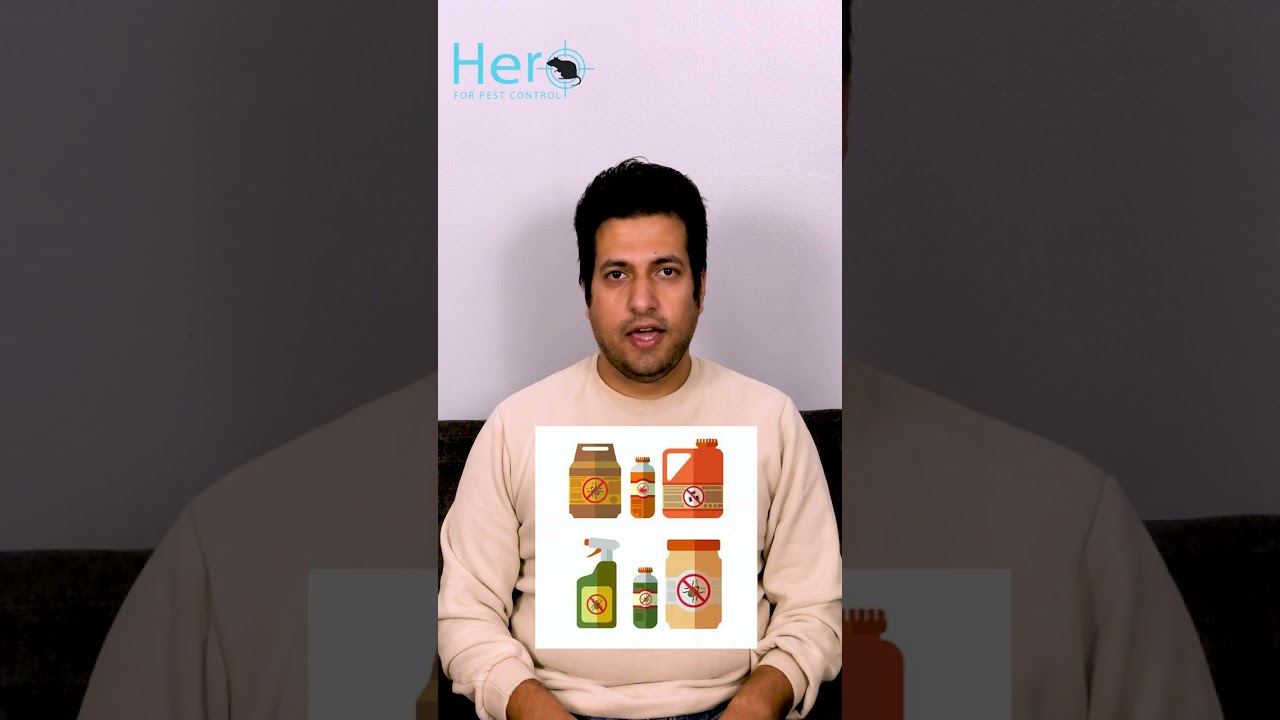 ازاي بنكافح حشره بق الفراش ؟؟#بق_الفراش #حشرات #ازاي_تتخلص_من_ألبق #هيرو_لمكافحه_الحشرات_والقوارض