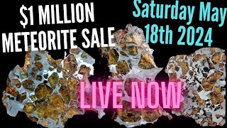 $1 Million LIVE Meteorite Sale Preview ☄️SATURDAY 5-18-24 Mark Lyon Collection Live Sale