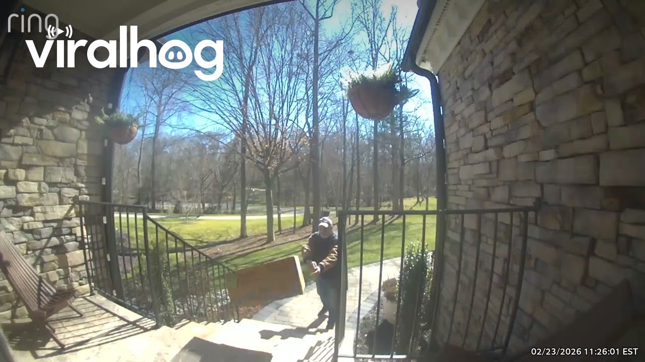 Delivery Driver Throwing Package Onto Porch Fail || ViralHog