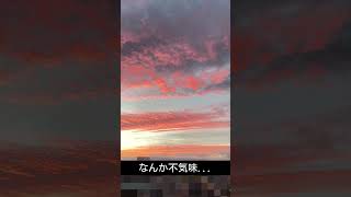 秋空？不気味な感じな夕焼け #shorts #今日の空 #夕焼け雲