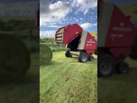 Silage 2023 #Sulfolk farmer