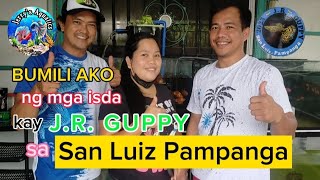 PAANO MAG ALAGA NG MARAMING  GUPPY / TIPS SA PAG SISIMULANG MAG ALAGA NG GUPPY
