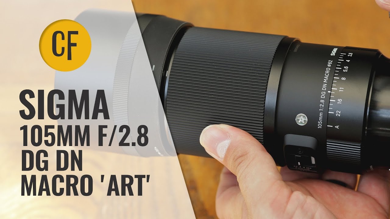 Video thumbnail for Video Review 2