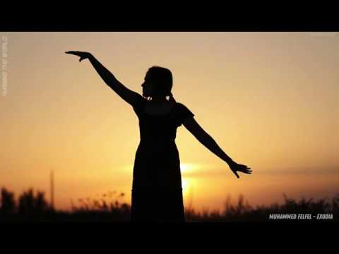 Muhammed Felfel - Exodia