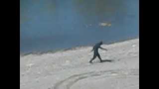 preview picture of video 'Bigfoot Seen Over Helena, Montana #2'