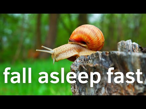 🐌 Beautiful Snails! - 3 HOURS Best Relaxing Music & Amazing Nature Scenery 🐌