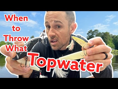 When to Throw What Topwater