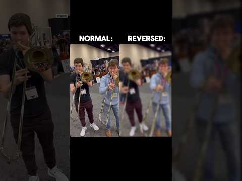 Put This In Reverse | Original And Reversed Version #shorts #reverseversion