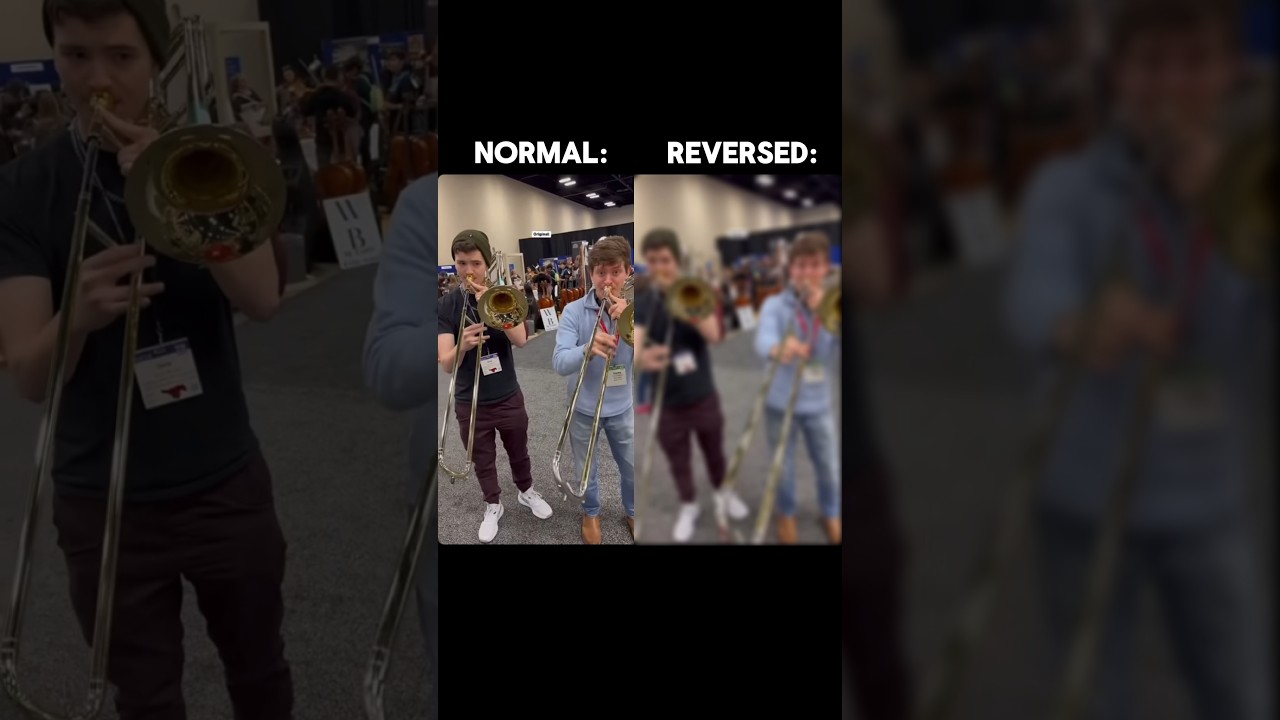 Put This In Reverse | Original And Reversed Version #shorts #reverseversion