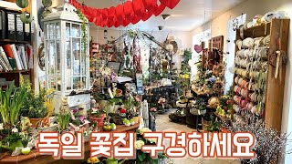 독일 꽃가게, 꽃집 함께 구경해 보아요!! 유럽 꽃가게 탐방기!!