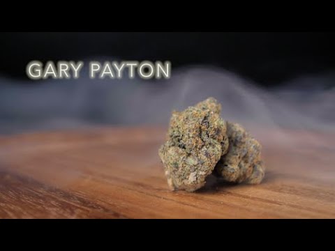 Mc Payton Strain