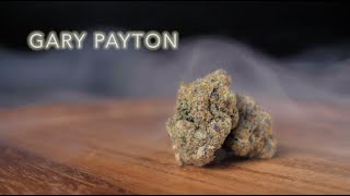 Gary Payton Strain Review | Nightly Bud