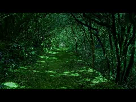 Susan Wong - Wind Of Change (Future Remix) | Official Audio