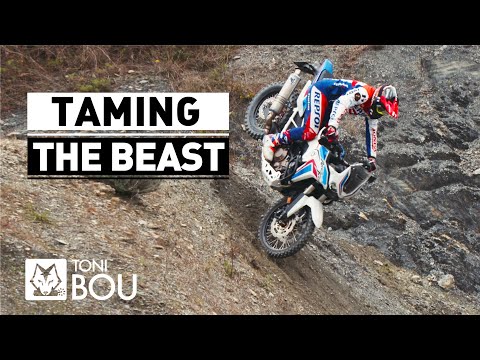 Taming  the Beast by Toni Bou 🔥🔥