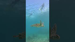 マリンクラブクレア