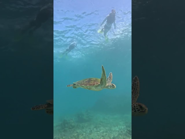 マリンクラブクレア