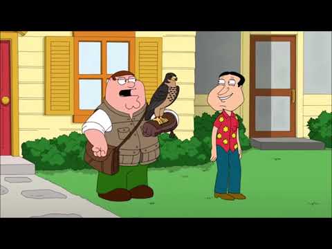 NUOVO(2021)✅ IL MEGLIO DEI GRIFFIN - #28