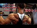 東京プロまで1週間!背中トレ