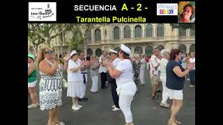 FESTA TARANTELLA - ContraDance | BEGINNER | LINEDANCE SENIOR