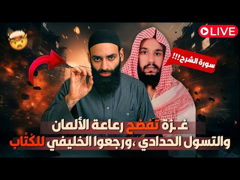 محمد شمس الدين والتسول الإلكتروني: غزة تكشف الحقد والكذب وأخطاء الخليفي