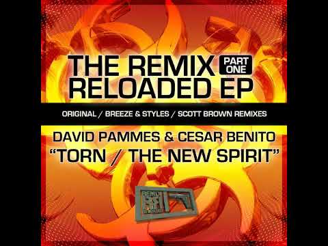 David Pamies & Cesar Benito - Torn (Original Mix)