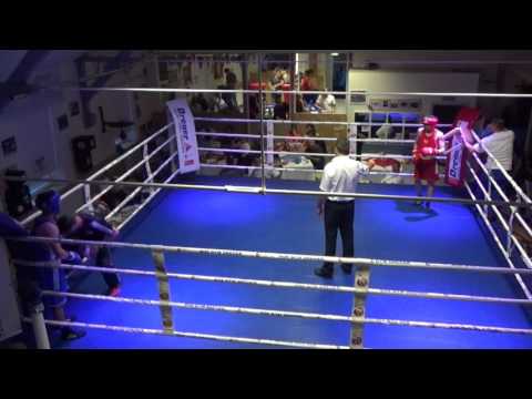 Boxgala in Alzey: Voznyj Urij - Mirea Gioni