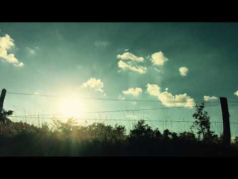 Diese Nacht ist uns gegeben_Wenzel