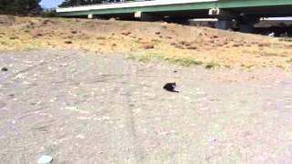 海きたー！テンションが上がっちゃいます！