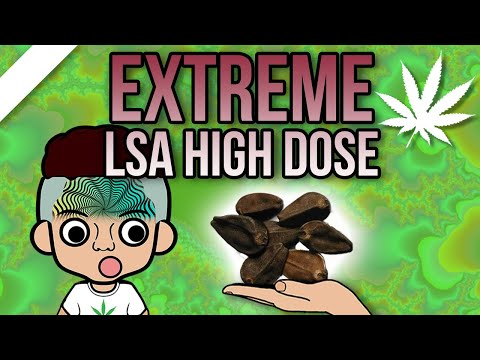 EXTREMER LSA Trip 😳| TripBericht | WEEDISTA