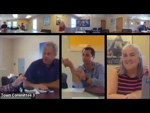 Real Estate Assessment Committee-06/10/2024