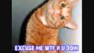 [RSMV] Mario Twins - Group X