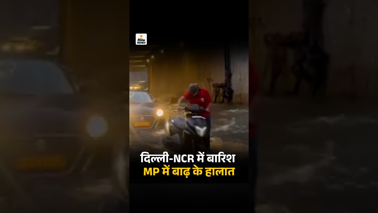 Weather Update: दिल्ली-NCR में बारिश, MP के कई जिलों में बाढ़ के हालात, प्रयागराज में 5 फीट पानी भरा