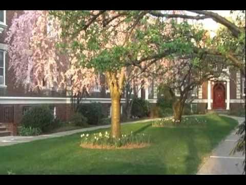 The Four Seasons - La Primavera (Spring) -- Vivaldi