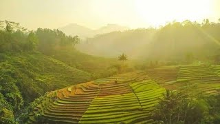 Download lagu StoryWA HIDUP YANG SEPI ( KOES PLUS ) mp3